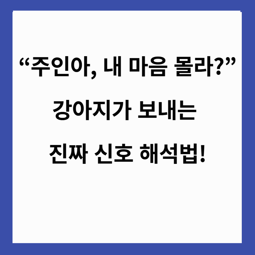 🐶 &ldquo;주인아, 내 마음 몰라?&rdquo; 강아지가 보내는 진짜 신호 해석법!