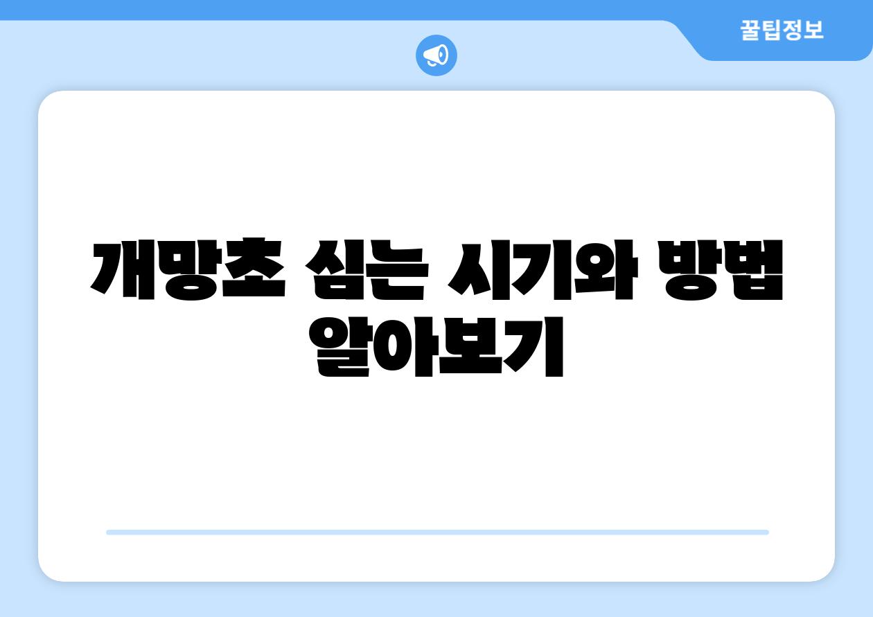 개망초 심는 시기와 방법 알아보기