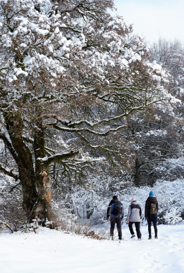 겨울여행하는 사진