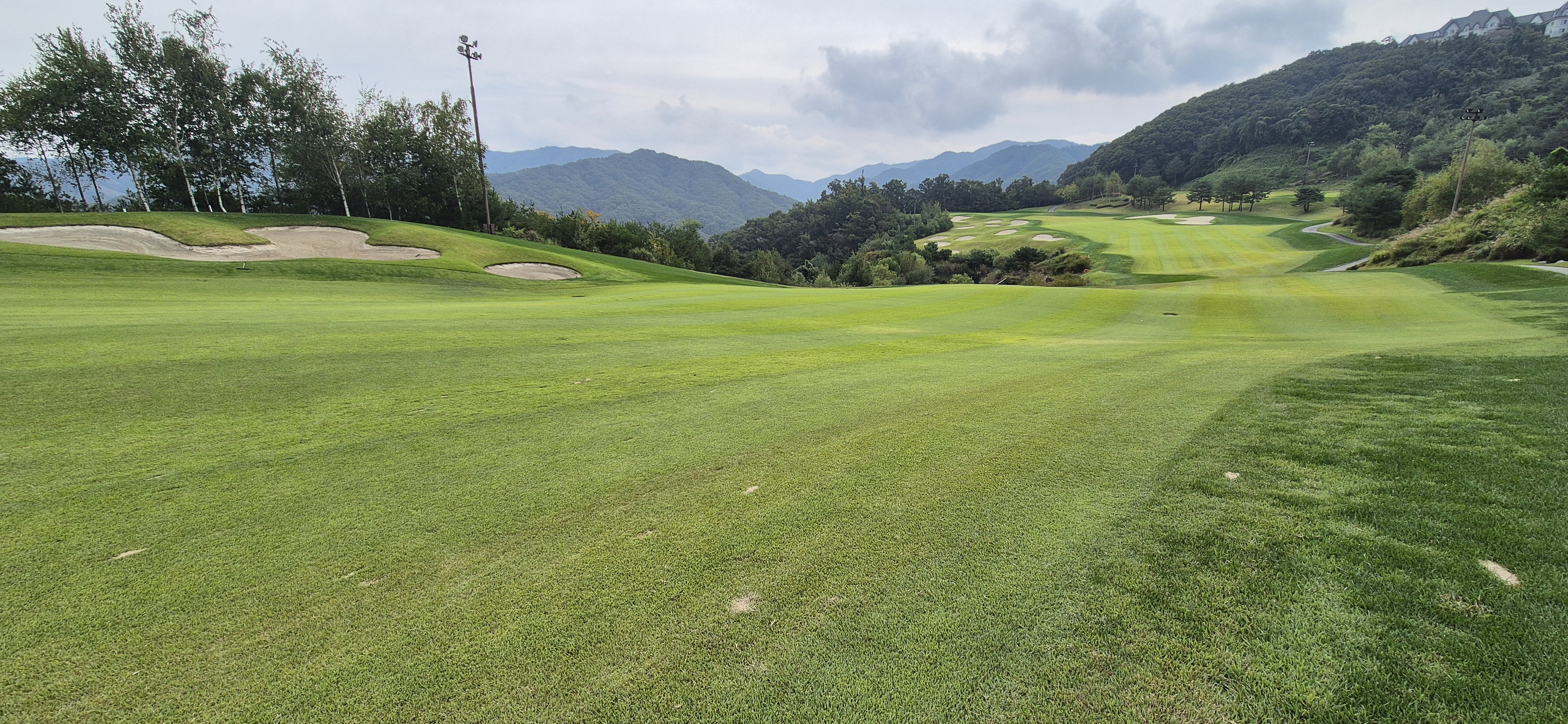 소노펠리체cc이스트