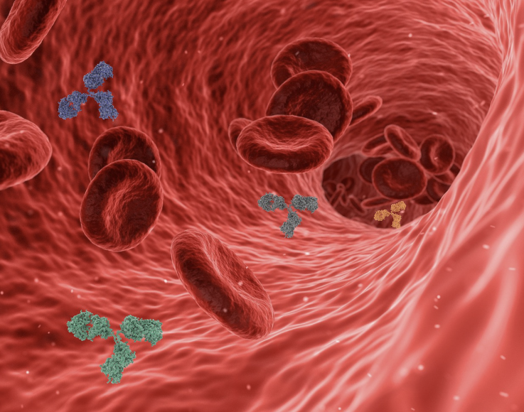 사노피 기업의 면역 치료 이미지