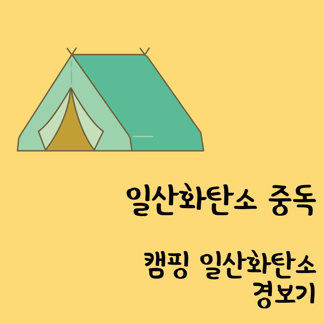 일산화탄소 중독 캠핑 일산화탄소 경보기