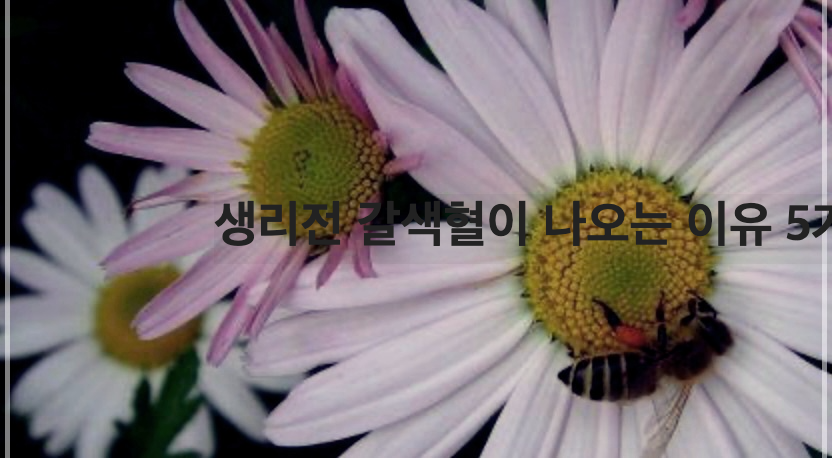 생리전 갈색혈이 나오는 이유 5가지