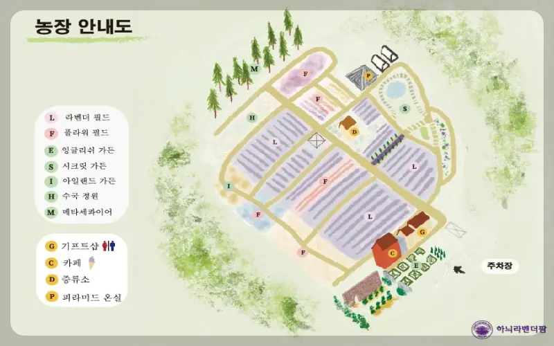 고성 라벤더 축제 하늬 라벤더 팜 안내도