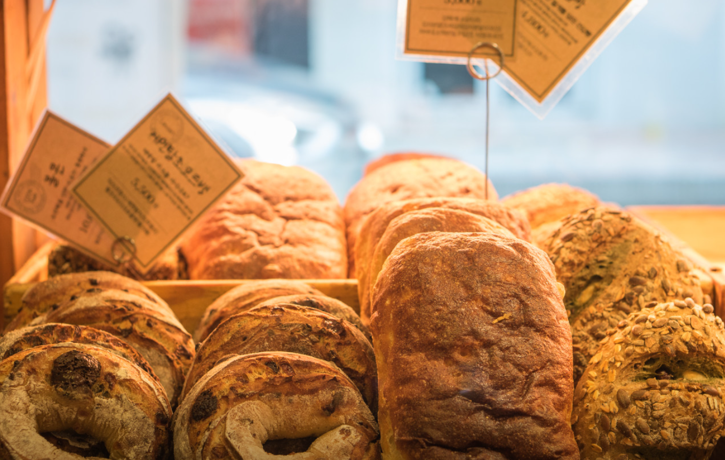 대전 맛집 베스트10