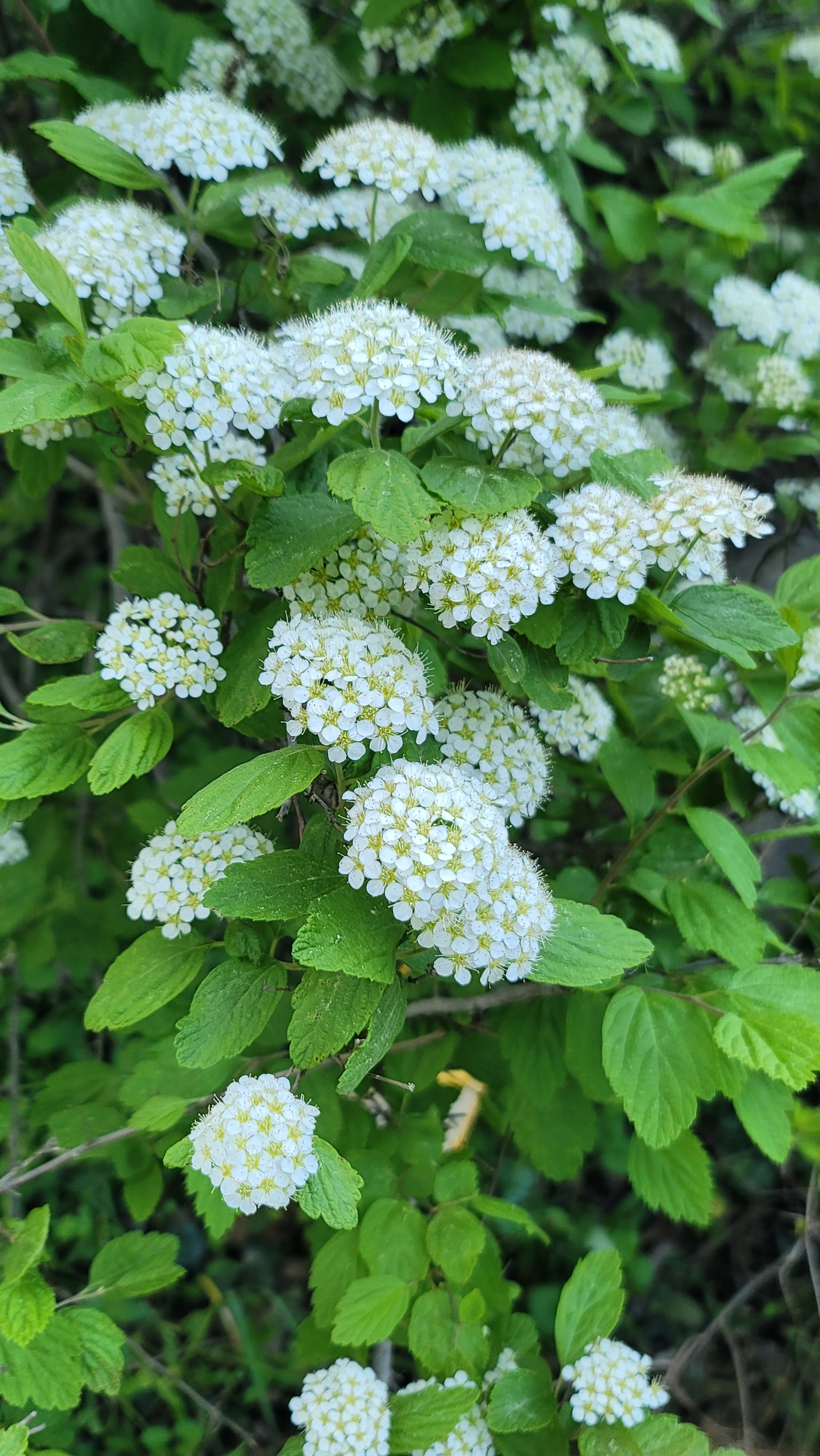 기청산식물원 2