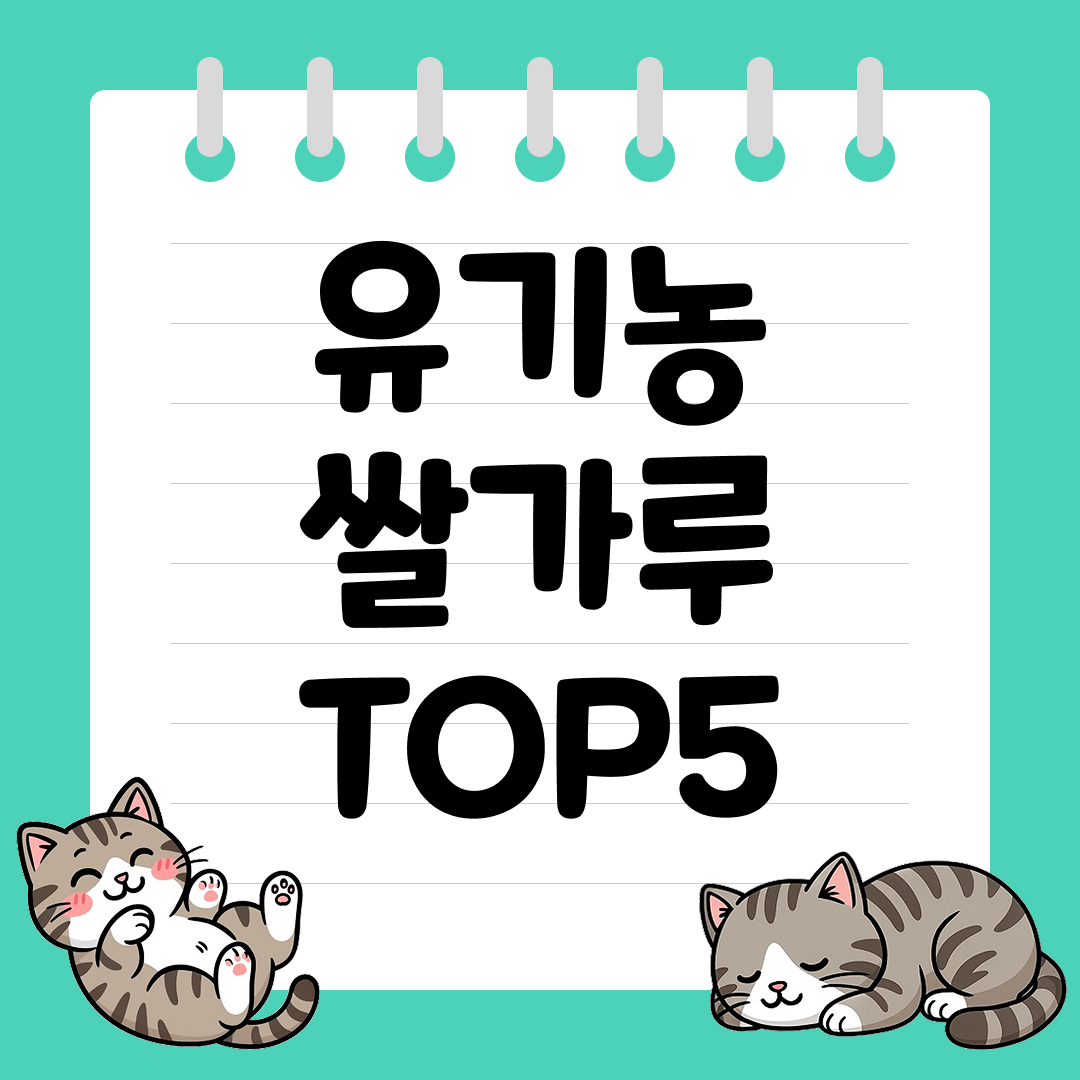 건강식에 활용하기 좋은 유기농 쌀가루 추천 순위 TOP5