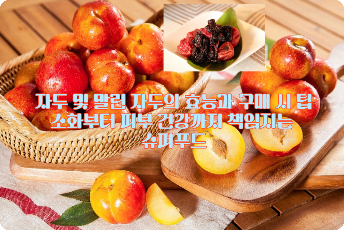 자두 및 말린 자두의 효능과 구매 시 팁 총정리｜소화부터 피부 건강까지 책임지는 슈퍼푸드