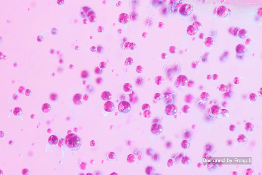 유레아플라즈마 파붐