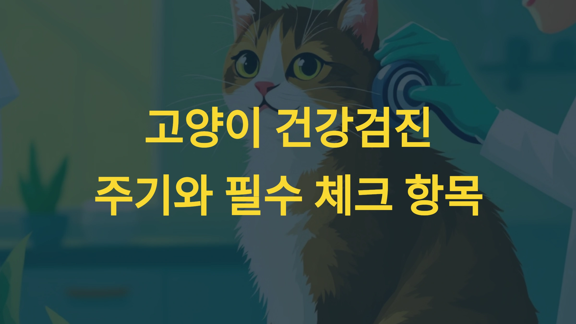 고양이 건강검진 주기와 필수 체크 항목