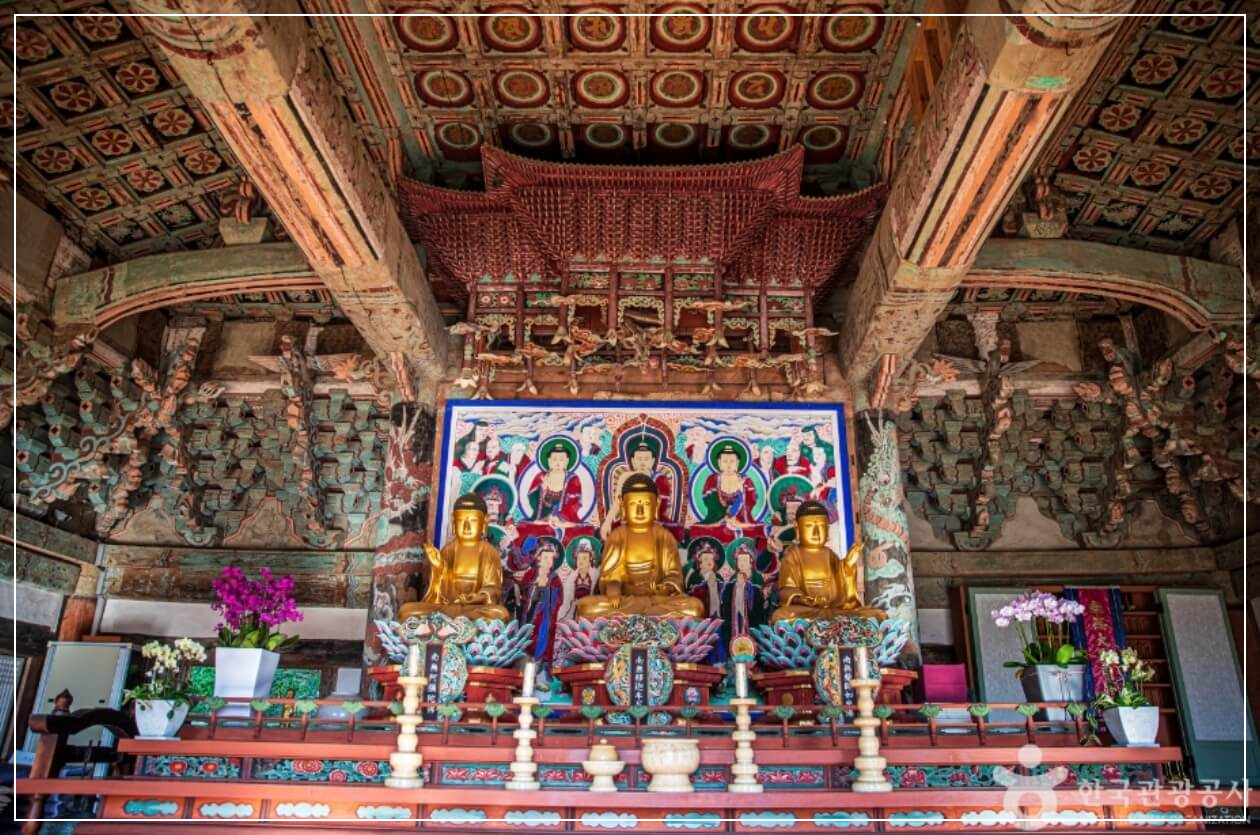 해남 가볼만한곳 베스트10 미황사