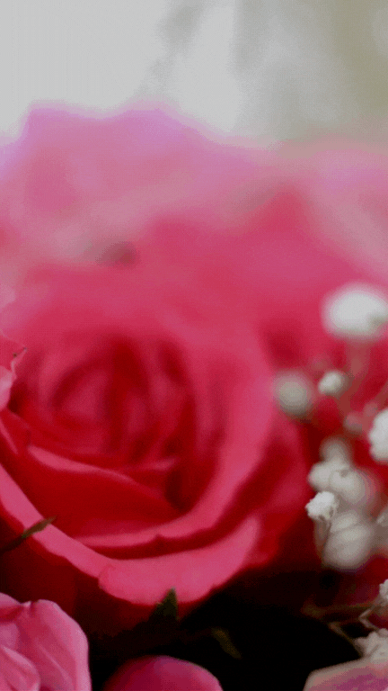 움직이는 센스있는 생일축하 이미지 메세지 카톡 문자 문구