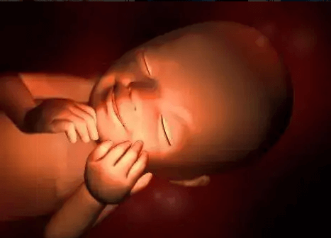 태아의-청력-발달