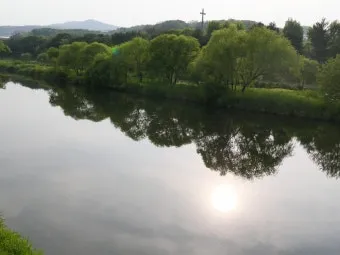 5월 쏘가리 금어기 시작 전국 금지 기간 완벽 정리와 낚시 규정_9