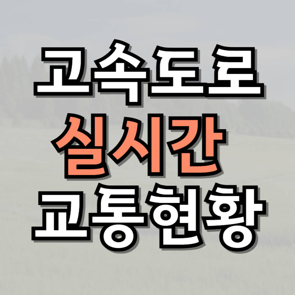 고속도로 실시간 교통현황