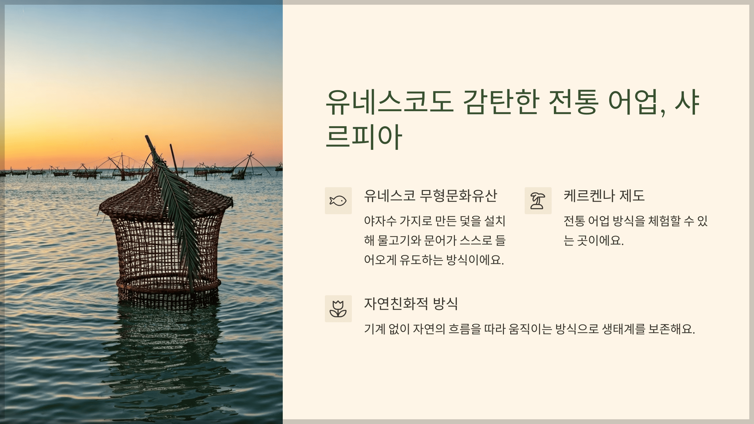 유네스코도 감탄한 전통 어업, 샤르피아