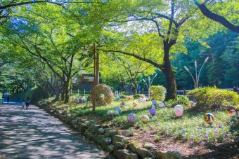 6시 내고향에 소개된 따뜻한 대구 관문시장 맛집 