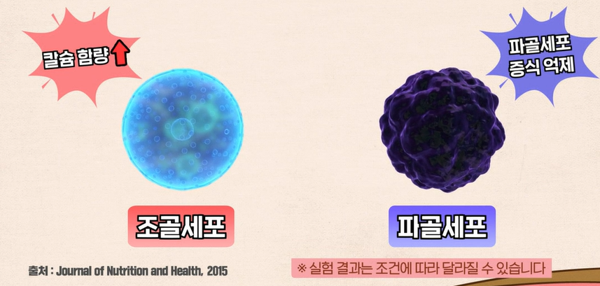 흑염소진액 효능