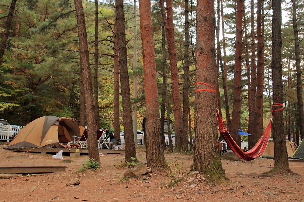 동해시 무릉계곡힐링캠핑장 소개