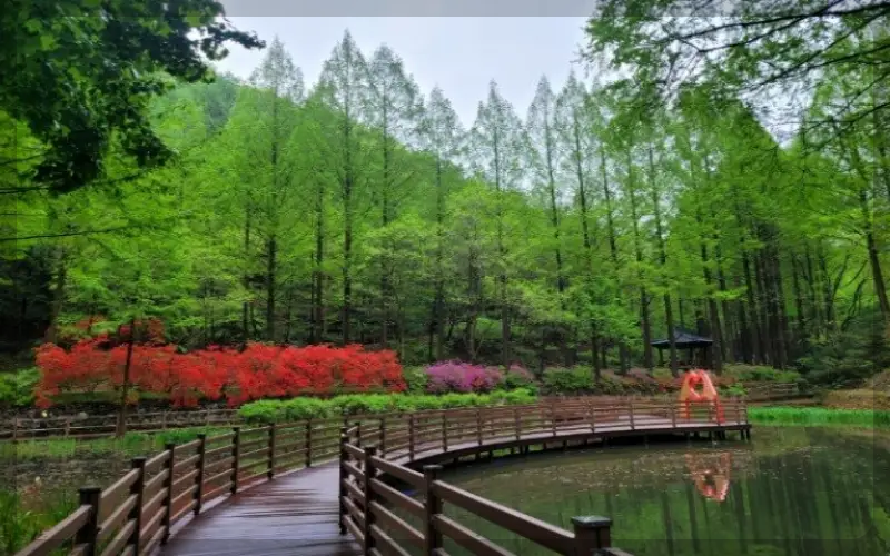 장태산 자연휴양림