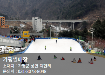 아침고요수목원 오색별빛정원 축제 할인 입장료 예약 방법 일정 가는 길 야경 명소 총정리