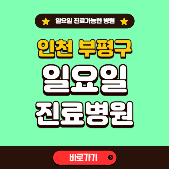 인천 부평구 일요일 진료 가능한 병원 ❘ 주말 문여는 곳 총정리 (소아과, 내과, 안과, 치과, 피부과, 정형외과, 산부인과)