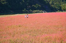 10월 가볼만한곳 베스트 