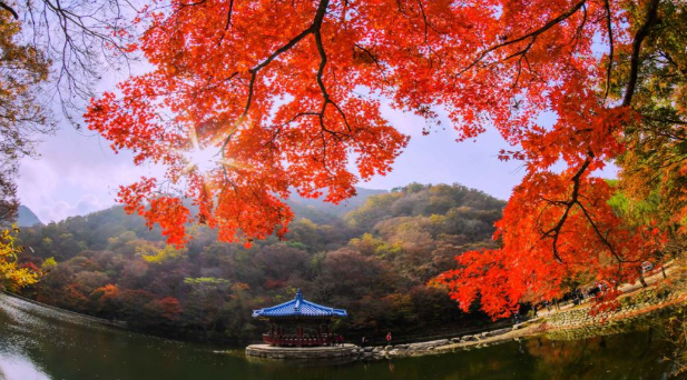 내장산 케이블카 예약방법, 요금, 운행시간, 주차장 총정리