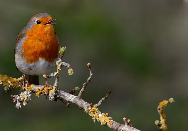로서 로써 차이 쓰임새 예문 맞춤법_9