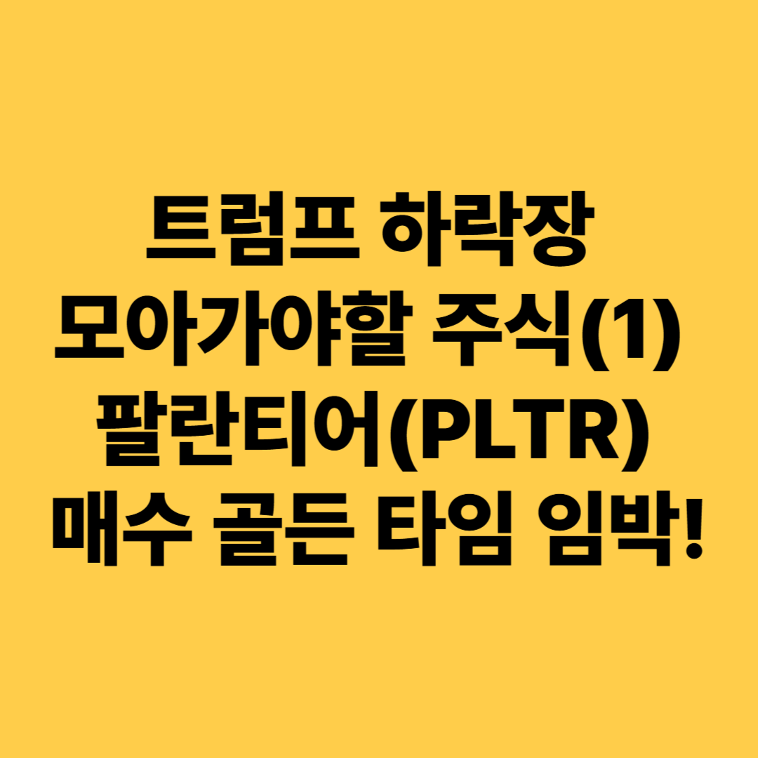 트럼프 하락장 모아가야할 주식 팔란티어 매수 골든 타임 임박!