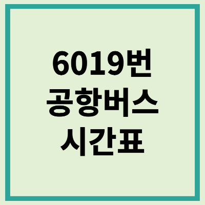 6019 공항버스 시간표 노선 요금
