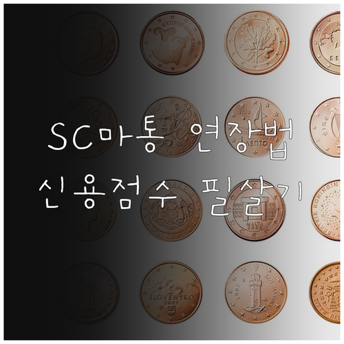 SC제일은행 마이너스통장 연장 체크리..