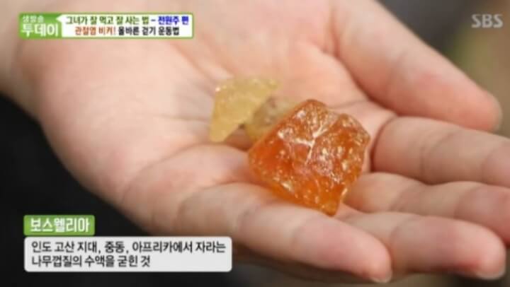 보스웰리아 효능 단백질