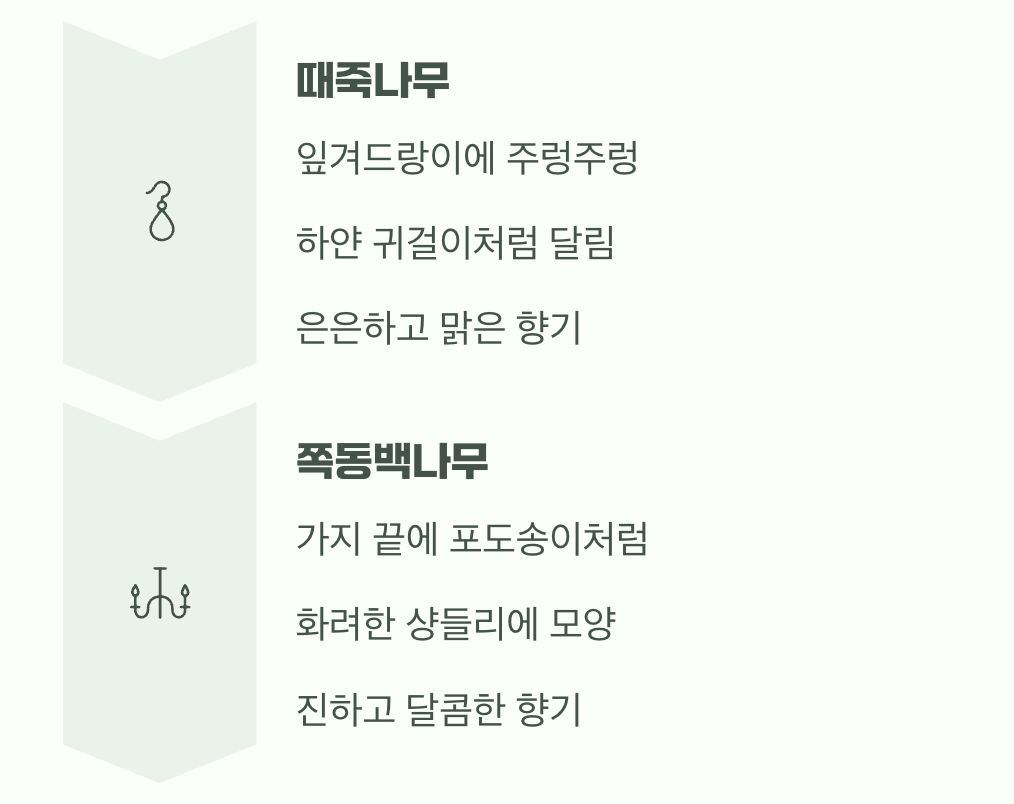 매력의 핵심, 꽃과 향기