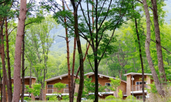 국립자연휴양림 6월부터 2자녀 가구도 최대 30% 감면 혜택