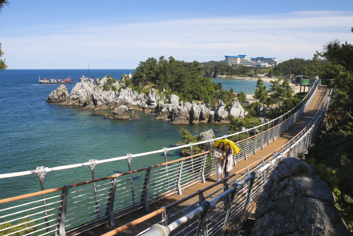 동해 추암 촛대바위 출렁다리