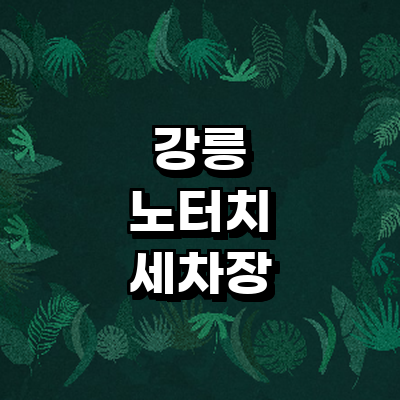 강릉시 노터치 세차