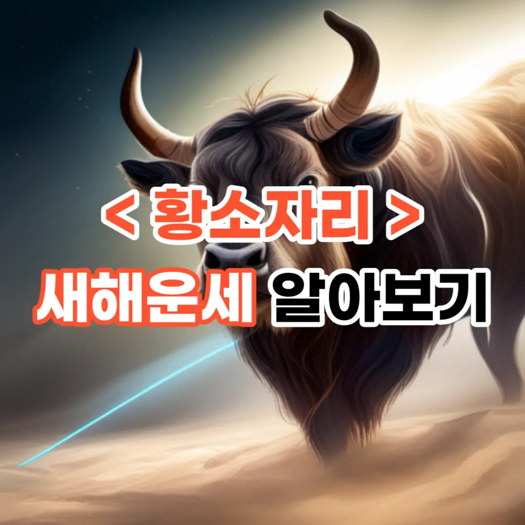 2024년 황소자리 새해 운세 알아보기
