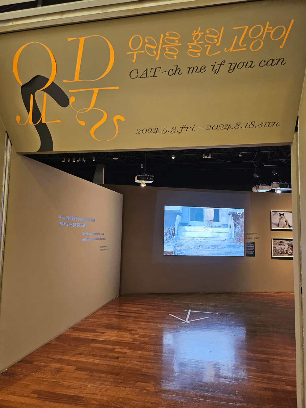 국립민속박물관, 고양이전시, 광화문전시, 종로전시, 추천전시, 어린이전시추천