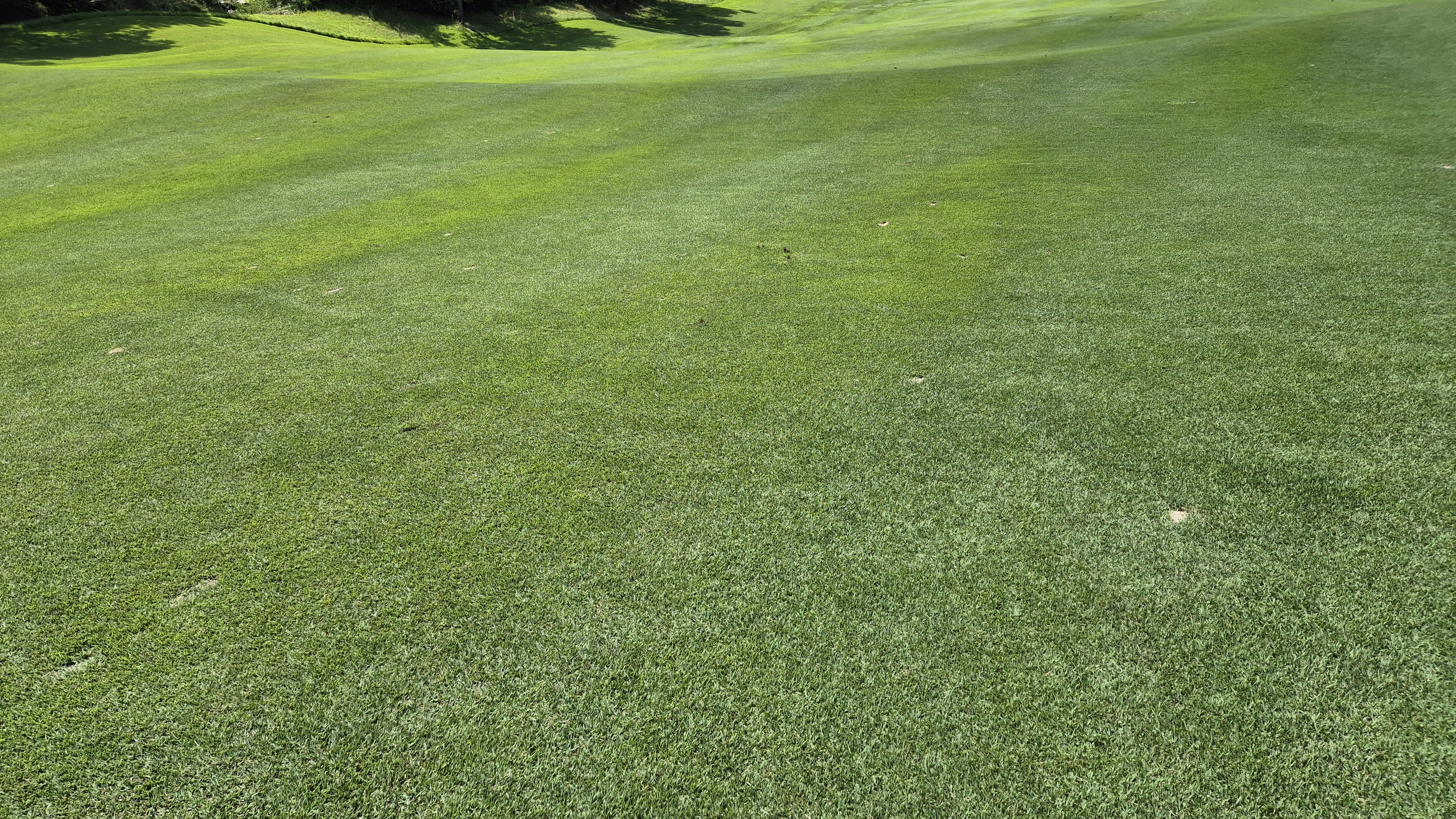 골프존카운티 천안 라운드 후기