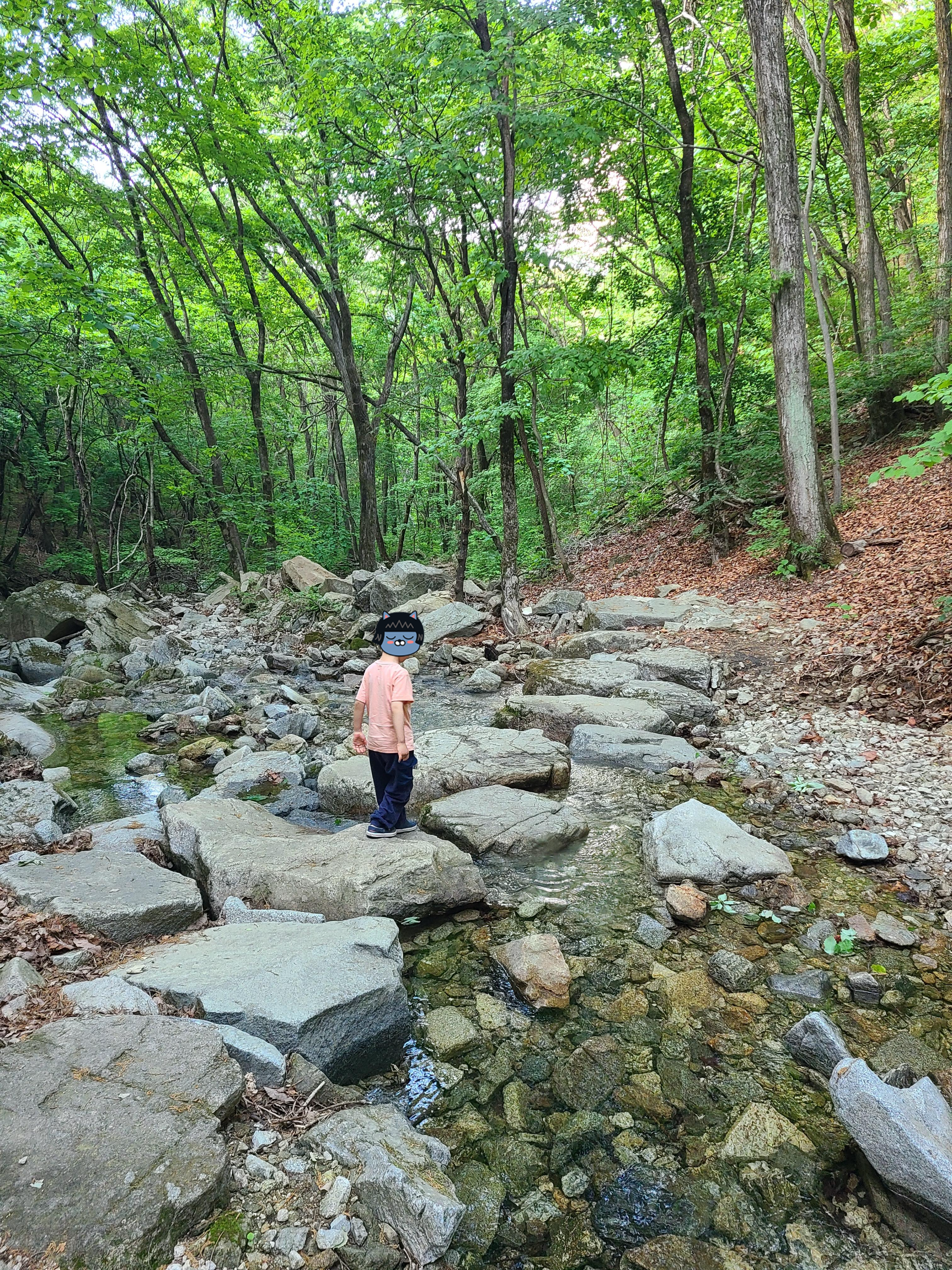 산음자연휴양림 산길 계곡