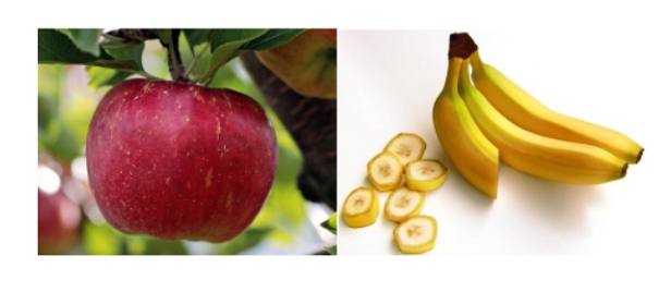 나무에 달려있는 사과와 세개 달려있는 바나나