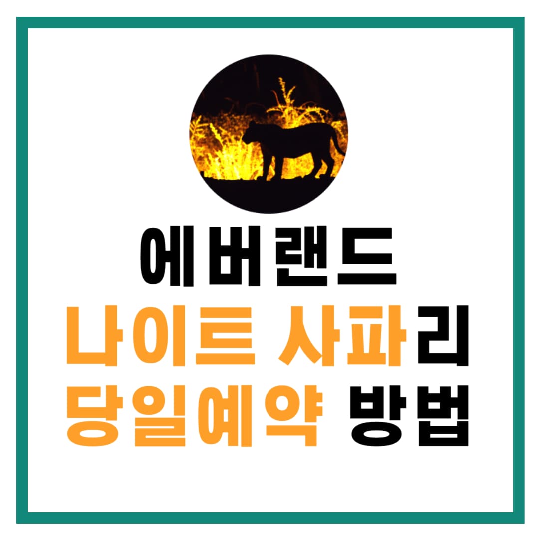 나이트 사파리 당일예약 방법 안내