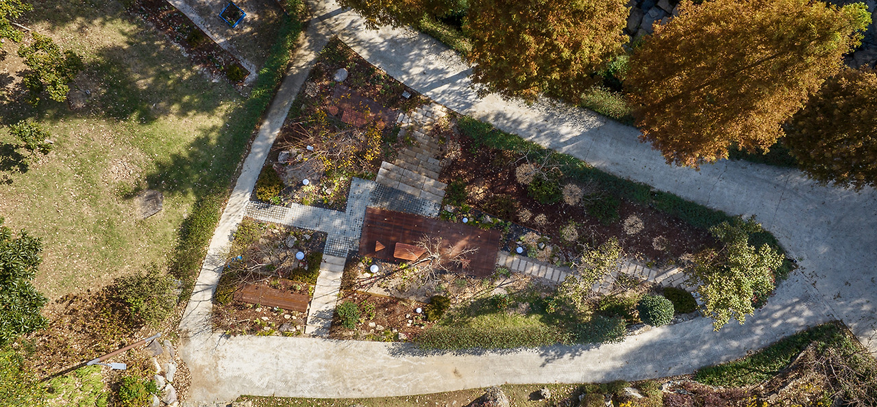 월아산 숲속의진주 수국 명소 가이드! 개화시기, 관람 코스, 포토존 완벽 정리