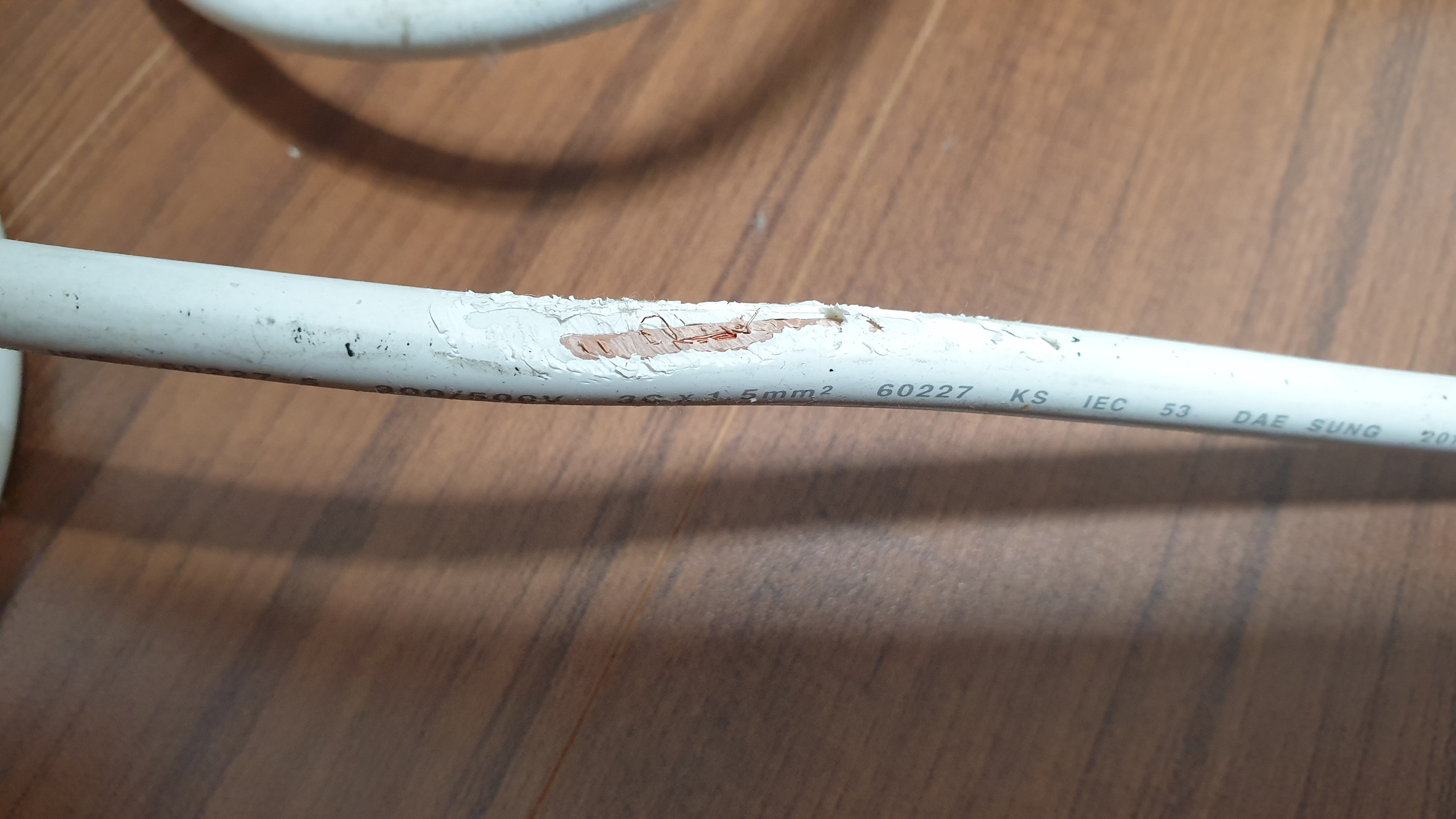 햄스터가-갉아먹은-전기줄