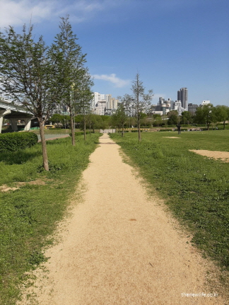 걷기 운동에 좋은 흙길 산책로 – 발바닥 물집 예방 효과