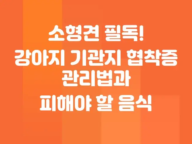 소형견 필독! 강아지 기관지협착증 관리법과 피해야 할 음식
