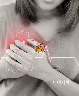 부정맥 종류 