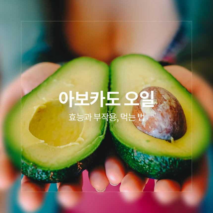 “아보카도-오일-효능과-부작용”