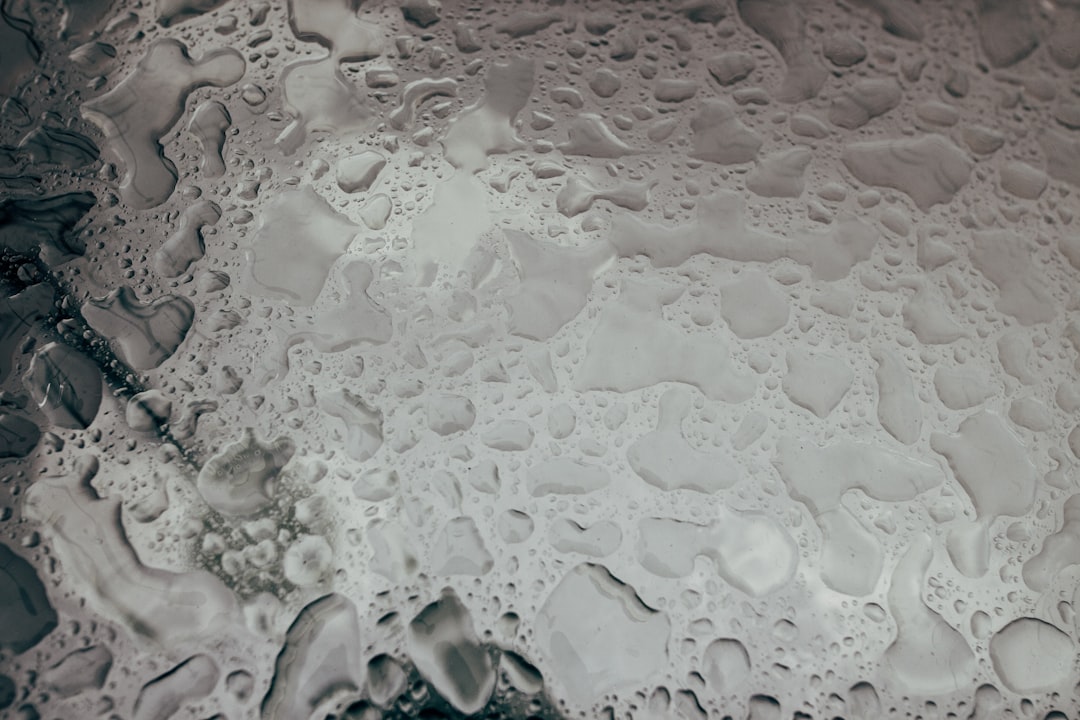 Dehumidifier